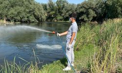 Nevşehir'de Kızılırmak, Üvez Sineğine Karşı İlaçlandı