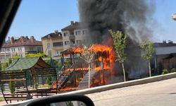 Nevşehir'de Park Yandı, Oyuncaklar Kül Oldu