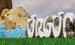 Ürgüp Belediyesi’nden hayvan katliamı iddialarına yalanlama
