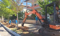 Dekoratif aydınlatma ve peyzaj çalışmaları da sürüyor