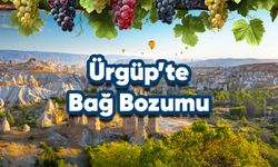 Meşhur Ürgüp üzümü Bağbozumu festivali ile görücüye çıkıyor