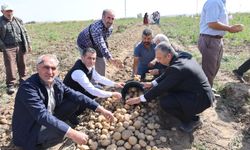 Nevşehir'de Patates Demonstrasyonu Tarla Günü