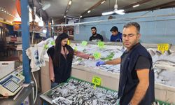 Nevşehir'de balıkçılar denetlendi