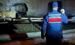 Nevşehir'de uygulama: 589 kişi sorgulandı