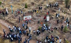 Nevşehir'de 100. yıl anısına fidan dikilecek