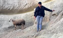Kayalıklarda mahsur kalan koyun kurtarıldı