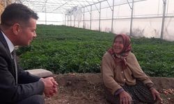 Memiş'ten Dünya Kadın Çiftçiler Günü Mesajı