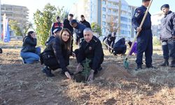 Nevşehir'de ''Her Öğretmene Bir Fidan'' Dikildi