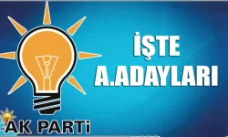 Nevşehir AK Parti'de kimler aday adayı oldu!