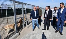 Nevşehir'de barınak 130 hayvana ev sahipliği yapıyor