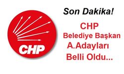Nevşehir CHP'de aday adayı listesi belli oldu!