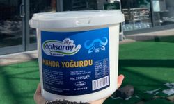 Nevşehir'de manda yoğurdu tatmaya hazır mısınız?