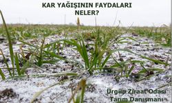 Kar yağışının faydaları neler?