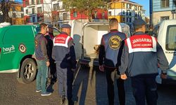 Nevşehir'de bahisle köpek dövüştüren 9 kişi yakalandı