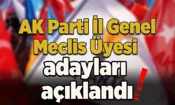 AK Parti’nin Nevşehir il genel meclisi adayları belli oldu