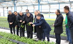 Bakan Yumaklı Nevşehir'de Tohum Üretim Tesislerini Yerinde inceledi