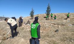 Nevşehir Genç İHH üyeleri yüzlerce fidanı toprakla buluşturdu