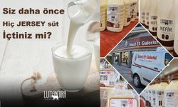 Jersey sütü Nevşehir'de sadece İtimat Et Galerisi'nde