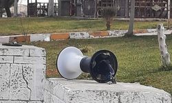 Kozaklı'da şehir eşkıyaları parkın lambalarını kırdı!
