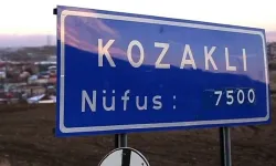 Türkiye'de Kozaklı'lı 66 bin 234 kişi yaşıyor