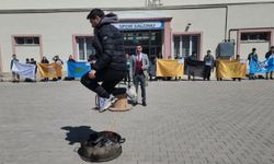 Nevruz Geleneği Nevşehir'de Devam Ediyor