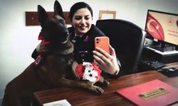 Nevşehir JAKEM'in köpeği Rüzgar Türkiye'de viral oldu