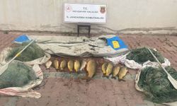 Kızılırmak'ta kaçak balık avcısı 4 kişi jandarmaya yakalandı