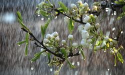 Nisan yağmuru Nevşehirli çiftçilere 'deva' olacak