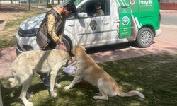 Nevşehir polisinden hayvanlara mama ve su desteği