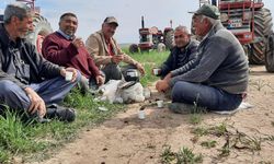 Nevşehir Akpınar köyünde tarlalar imece usulü sürülüyor