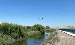 Gülşehir'de drone ile ilaçlama yapıldı