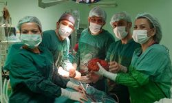 Nevşehir Devlet Hastanesi’nde böbreğinden 22 cm’lik tümör çıkarıldı
