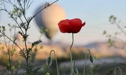 Nevşehir'de hava sıcaklıkları mevsim normallerinin üzerine çıkacak!