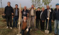 Nevşehir'de Kuyulutatlar köyü üzüm ve meyve fidanları ile donatılıyor