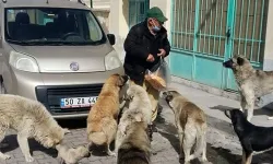 Nevşehir'de sokak hayvanlarının dostu vefat etti