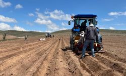 Nevşehir Kuyulutatlar köyünde patates deneme dikimi yapıldı