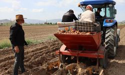 Yerli patates tohumları Nevşehir Tepeköy’de toprakla buluştu