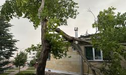Nevşehir'de fırtına çatıları uçurdu, ağaçları devirdi