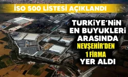 Türkiye'nin en büyükleri arasında Nevşehir'den tek firma yer aldı