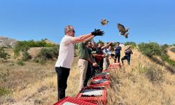 Nevşehir'de 900 adet kınalı keklik doğaya bırakıldı