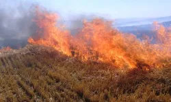 Nevşehir Karahasanlı'da 100 dekarlık buğday ekili alan yandı