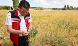 Nevşehir'de Nohut Üretimini Geliştirme ve Bakteri Aşılama Projeleri Uygulandı