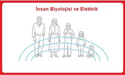 İnsan Biyolojisi ve Elektrik