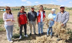 Nevşehir'de ekili alanlarda ürün kontrolleri sürüyor