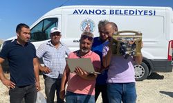 Avanos Belediyesi kaçak su avına çıktı