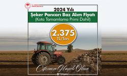 Şeker pancarı 2024 alım fiyatı belli oldu