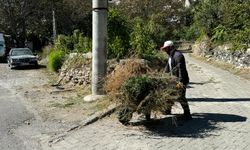 Nevşehir'in Nar kasabasında sonbahar temizliği