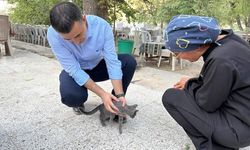 Avanos Kaymakamı Bilici'den 4 Ekim Dünya Hayvanları Koruma Günü mesajı