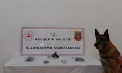 Nevşehir Jandarmadan esrar operasyonu 1 gözaltı