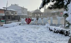 Kozaklı ilçesinde yaşanan ısınma sorunu devam ediyor!